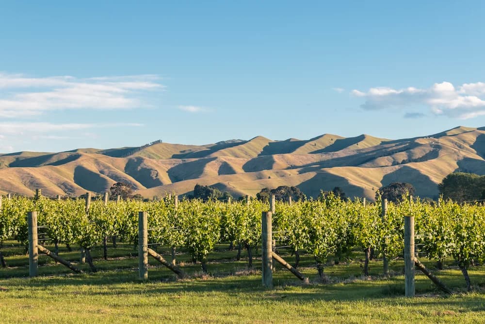 Golf courses in Marlborough