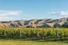 Marlborough golf clubs