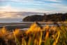 Tasman golf clubs